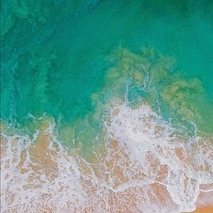 Meet your Posher, Anastashia